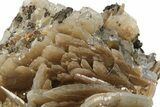 Bladed Barite Cluster On Limonite - Morocco #222906-1